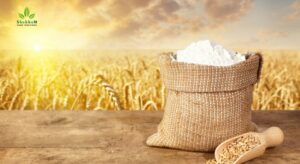Wheat Rice Flour Suppliers in India 
